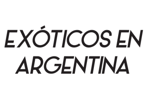 Cliente Taller de Premios - exoticos en argentina